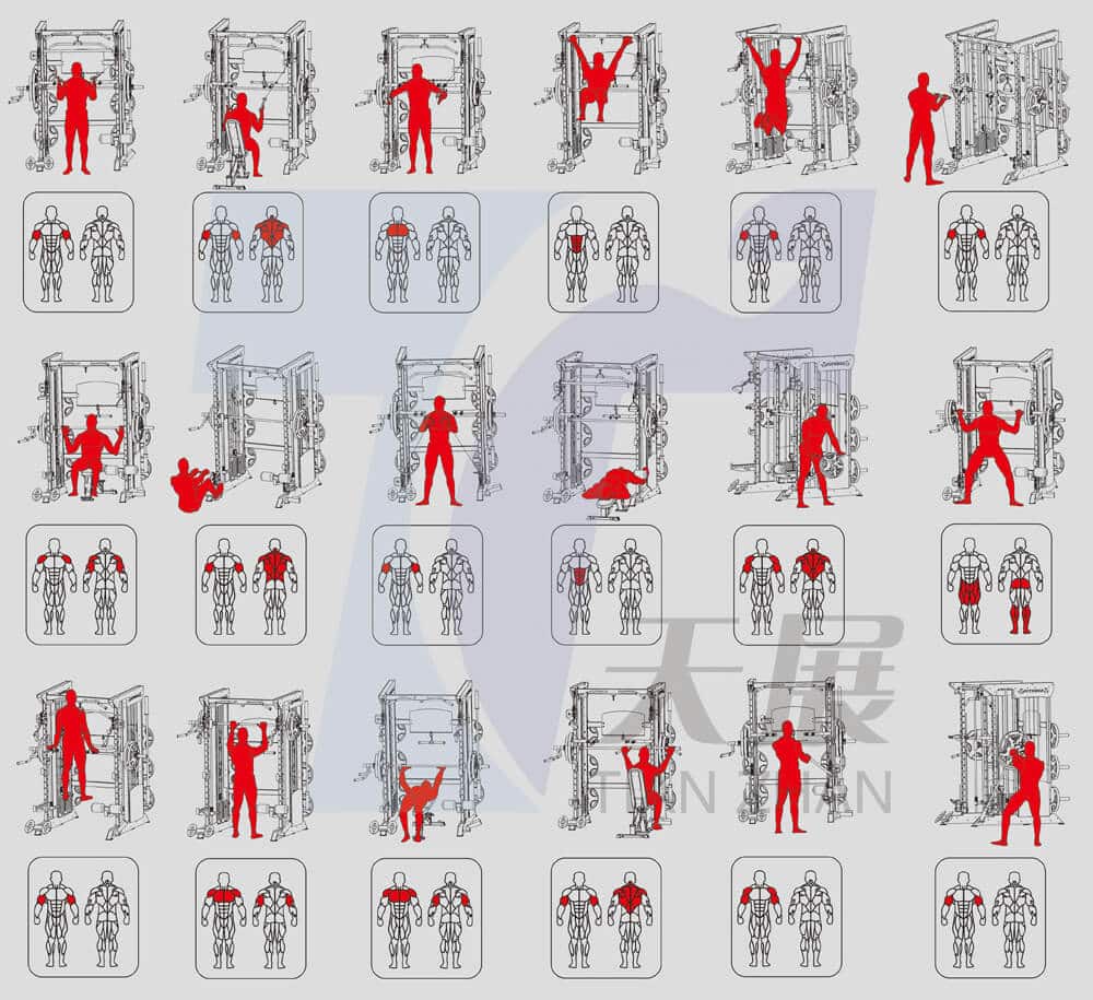 Semi-commercial multifunctional fitness equipment training guide