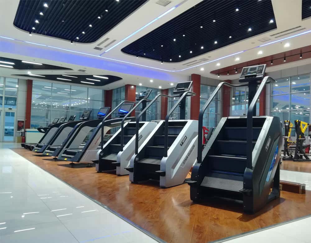 Professional Gym Machine Climber Machine Stair Stepper for Sale