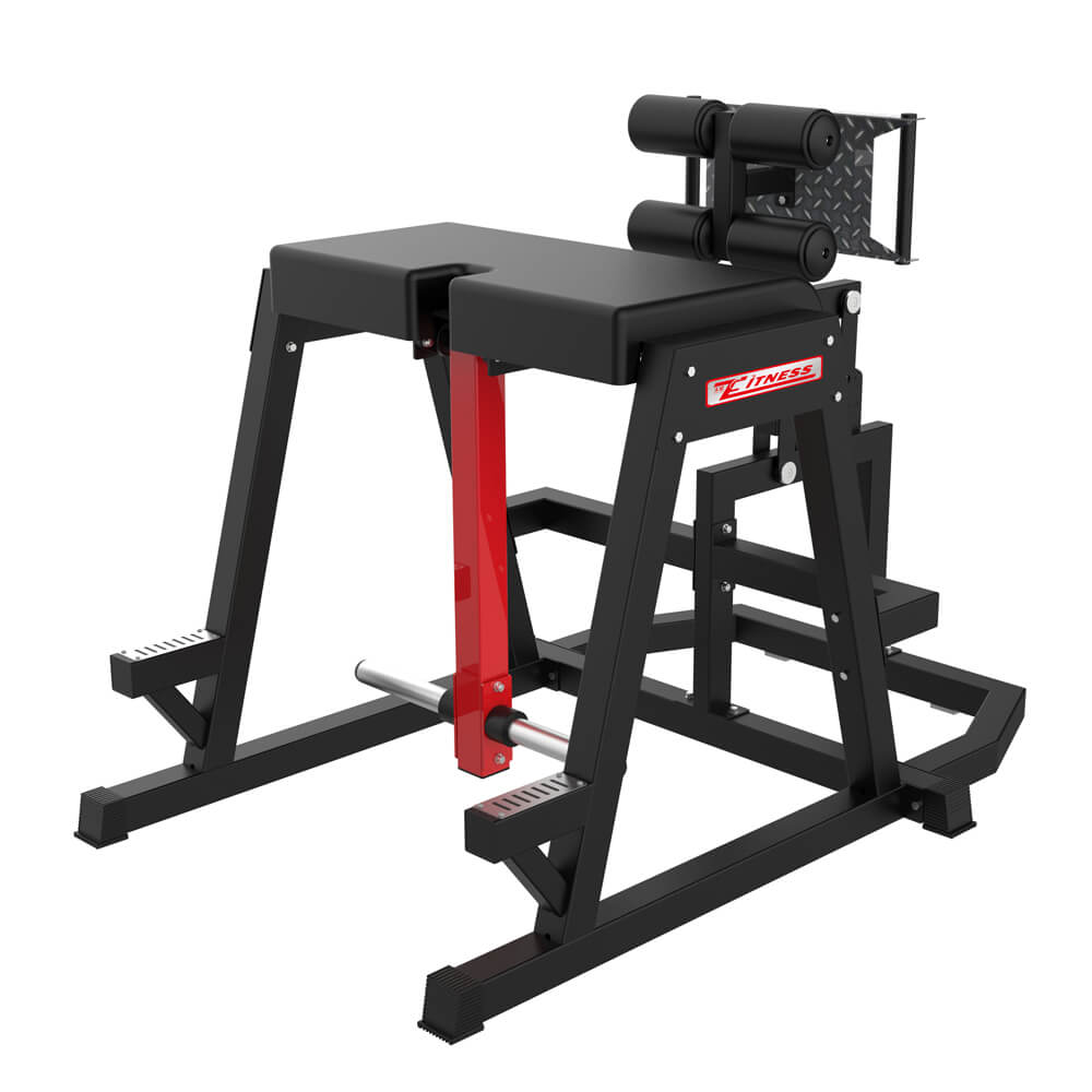 Gym Fitness Reverse Hyper Extension Machine