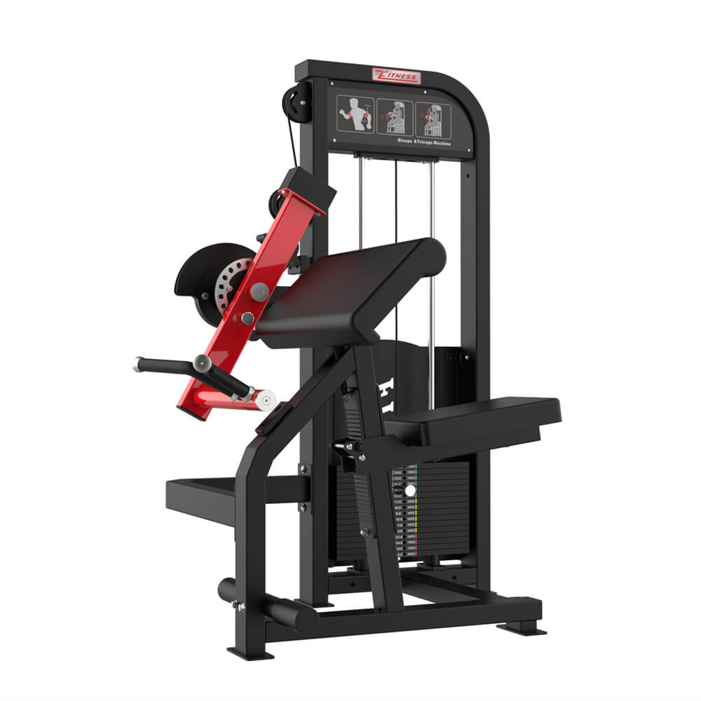 Seated Dual Function Triceps Extension Biceps Curl Machine