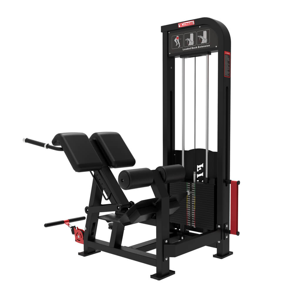 Commercial Gym Use Sport Equipment Back Extension Training