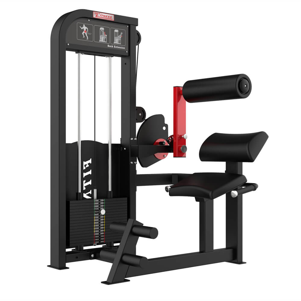 Back Extension Fitness Equipment for Gym Club