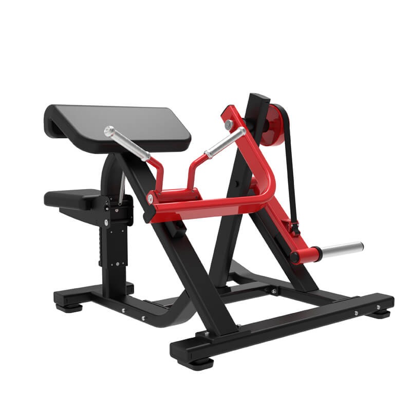 Gym Exercise Strength Trainer Seated Bicep Curl