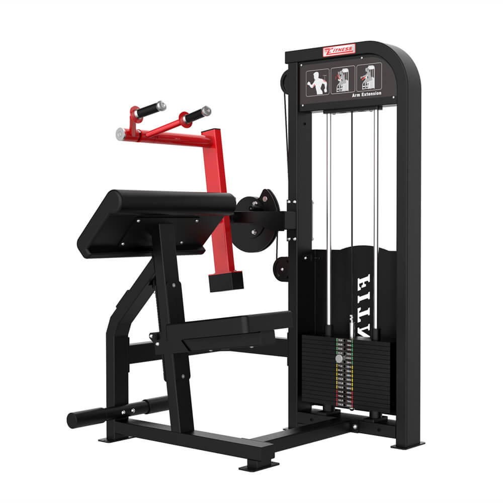 Triceps Extension High Quality Gym Equipment