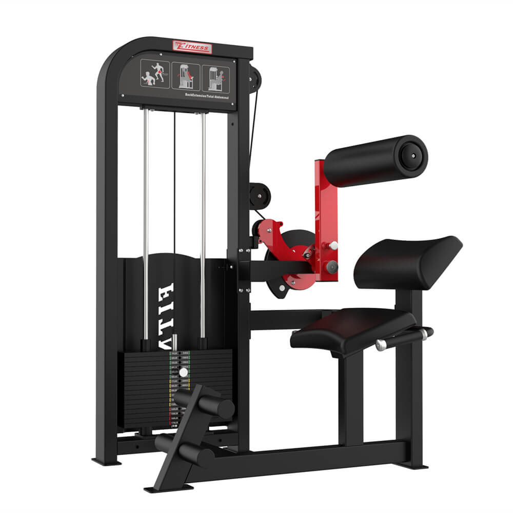 Commercial Grade Gym Equipment Exercise Seated Back Muscle Trainer Abdominal Machine