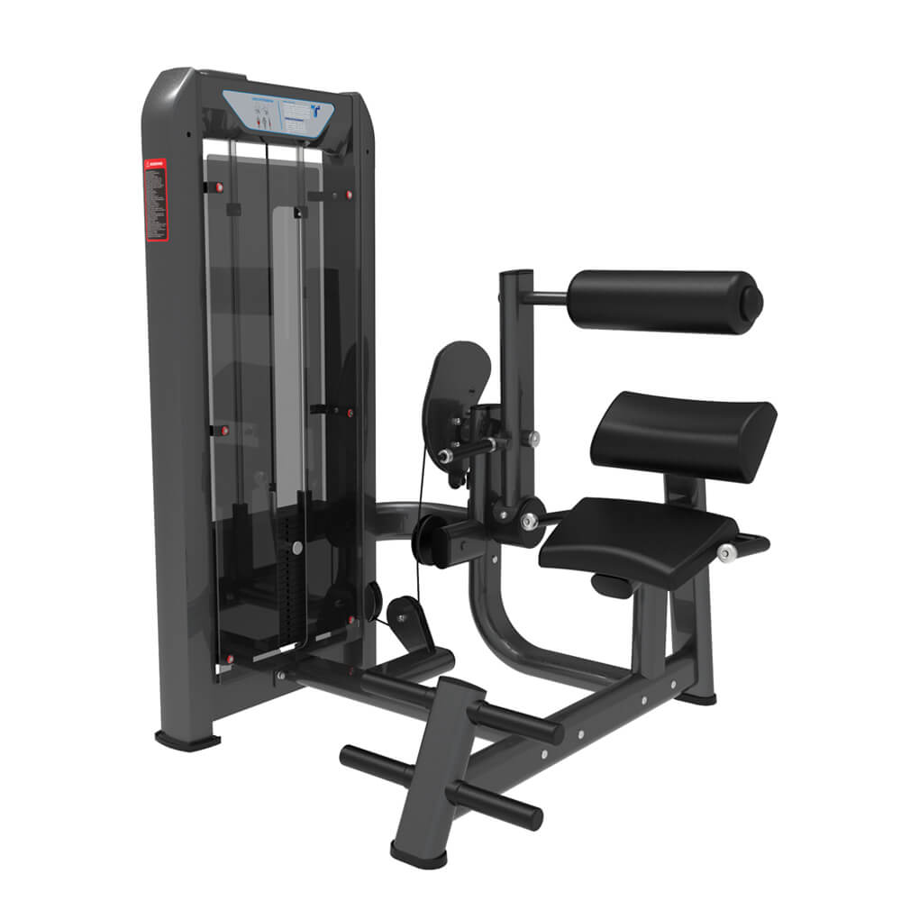 Bodybuilding Back Extension Exercise Machine for Sale