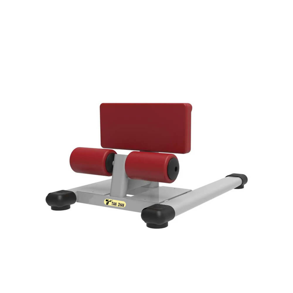 Squat and Bench Sissy Squat Rack Sport Fitness Station