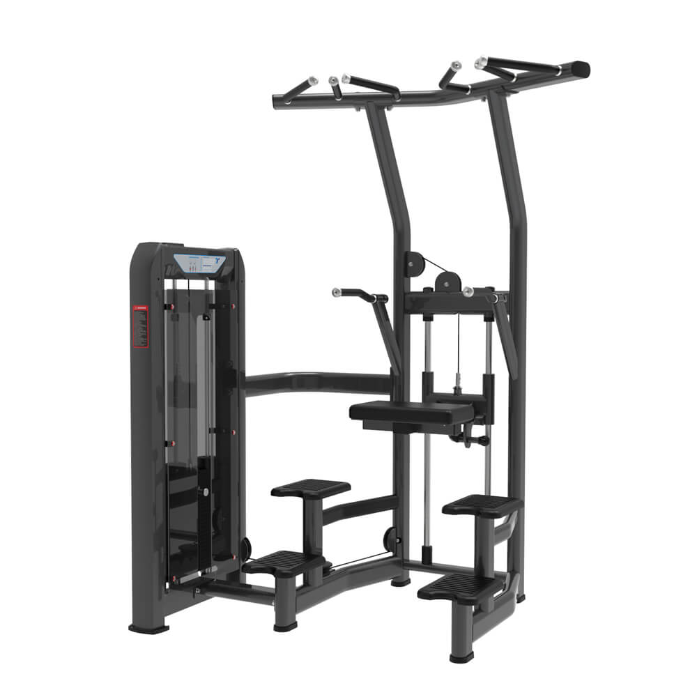 commercial exercise equipment manufacturers assist Dip Chin