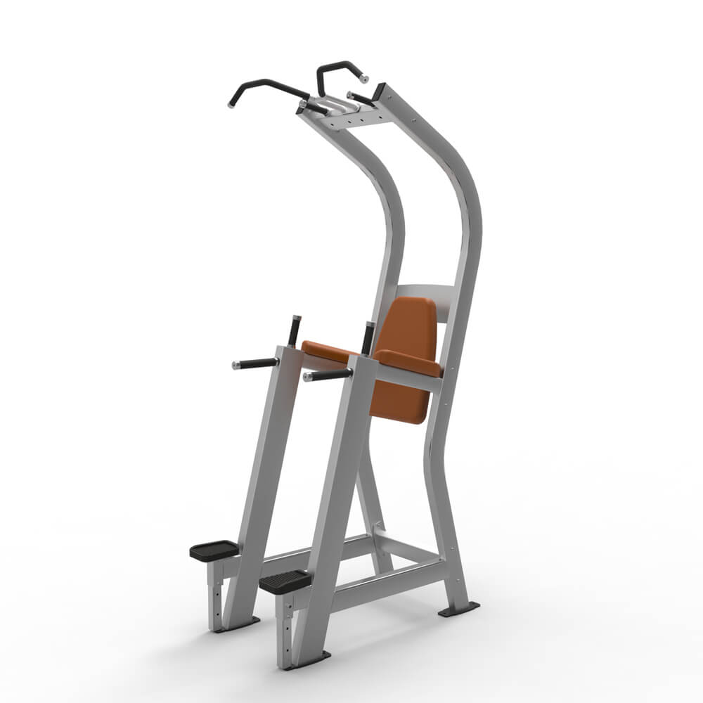 Factory Custom Unique Exercise Equipment Strength Machine Vertical Knee Raise For Sale