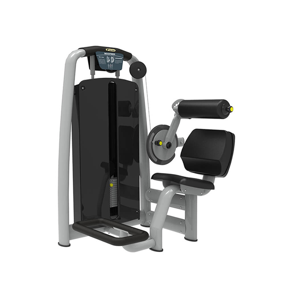Commercial Gym Equipment Back & Abdominal Combo
