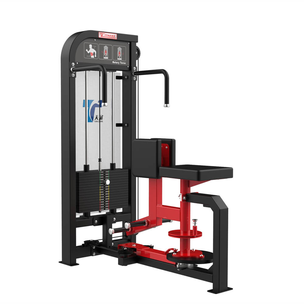 Workout Equipment Musculation Rotary Torso