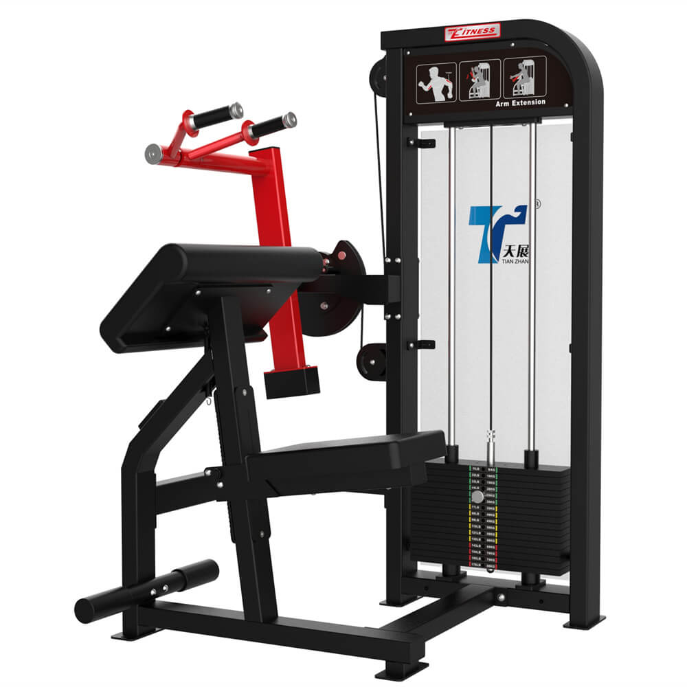Fitness Strength Training Triceps Extension Exercise Machine