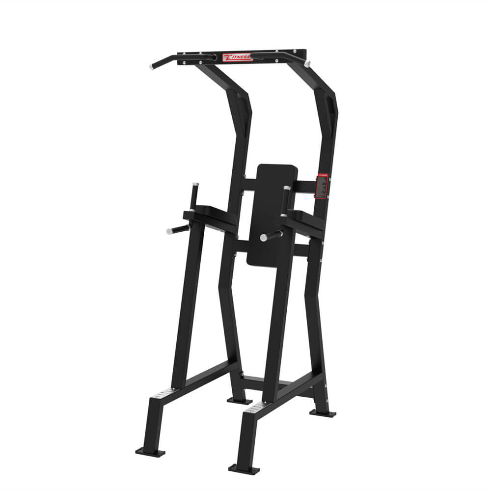fitness equipment distributor Knee Raise
