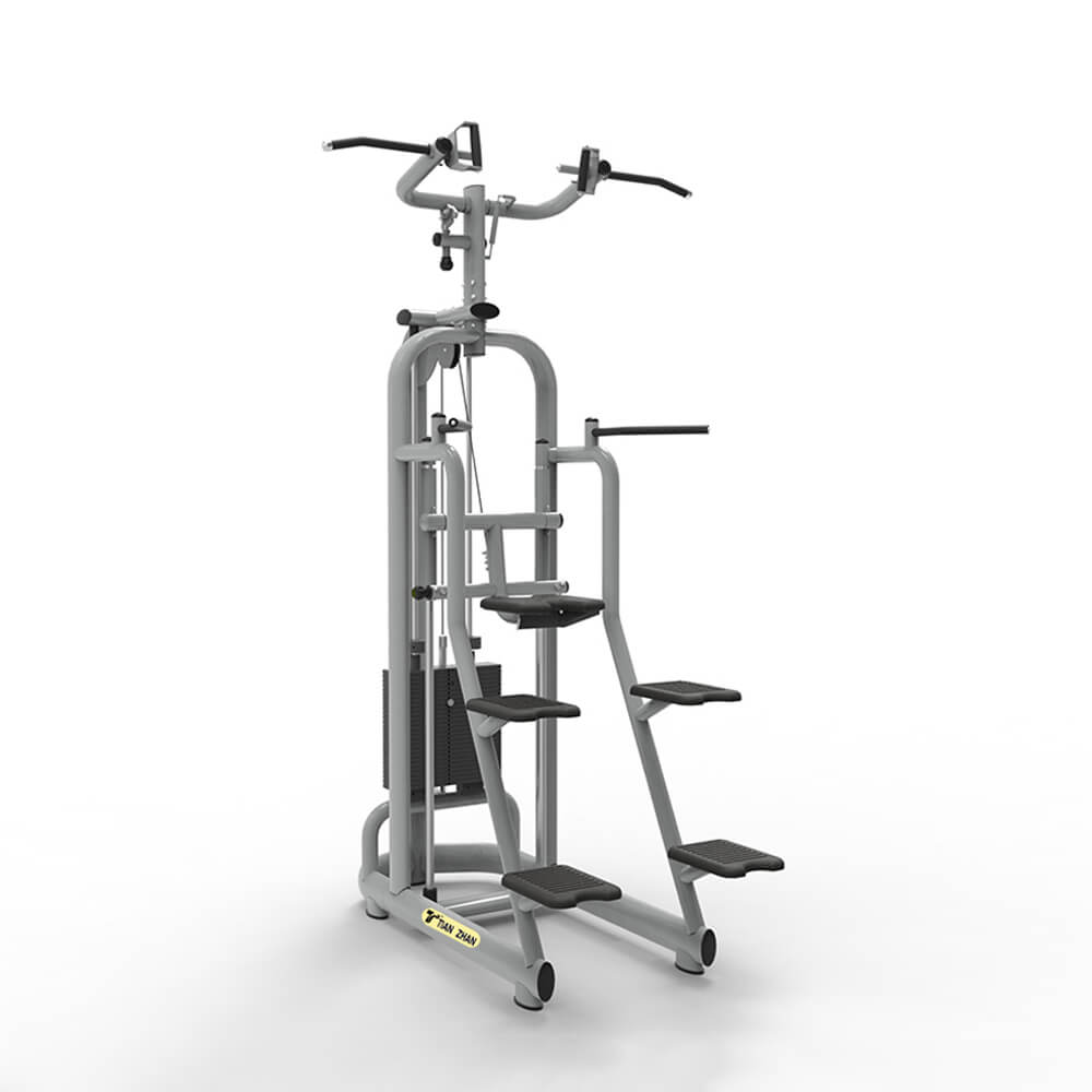 Commercial Use Gym Equipment Dip Chin Assist