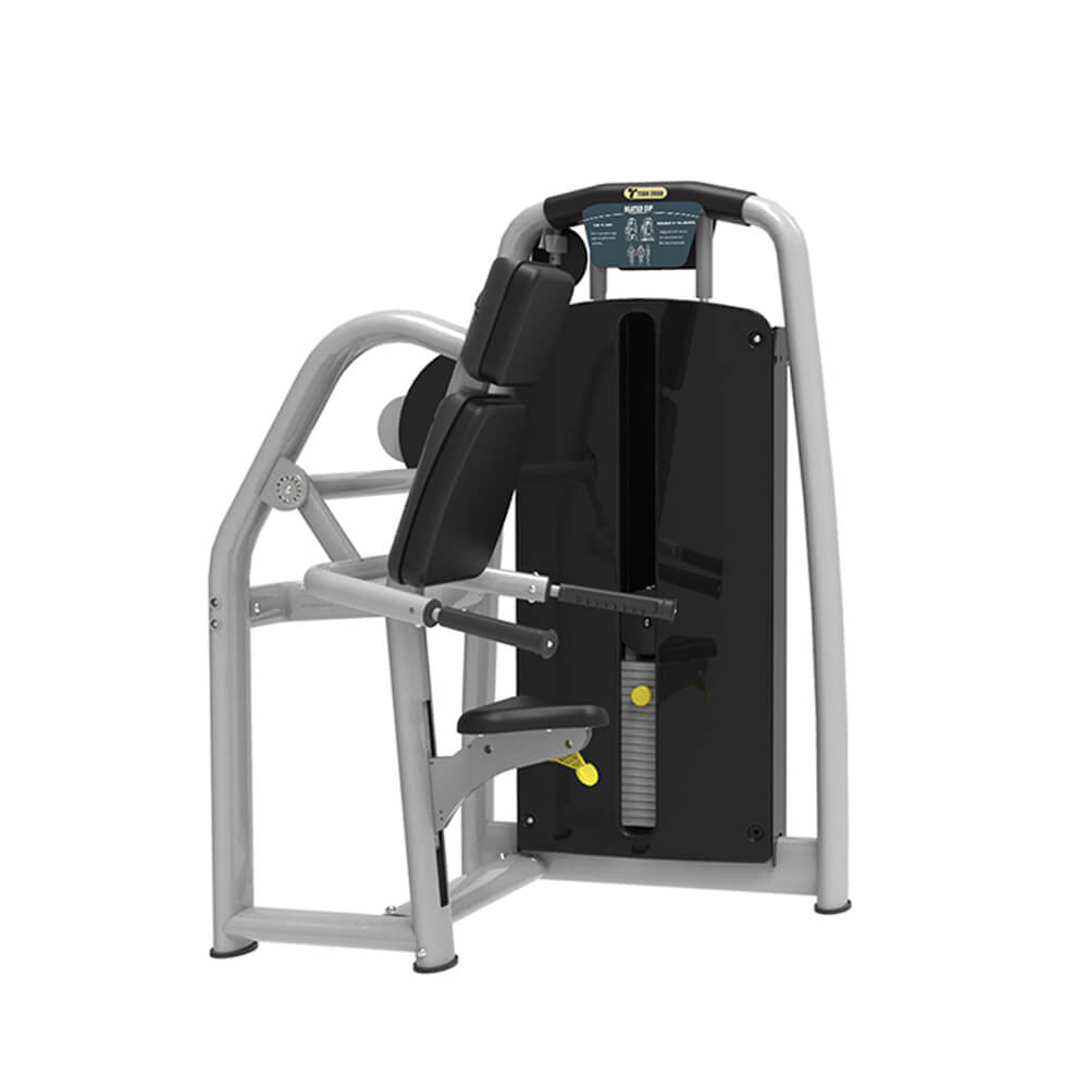strength machine Triceps Dip