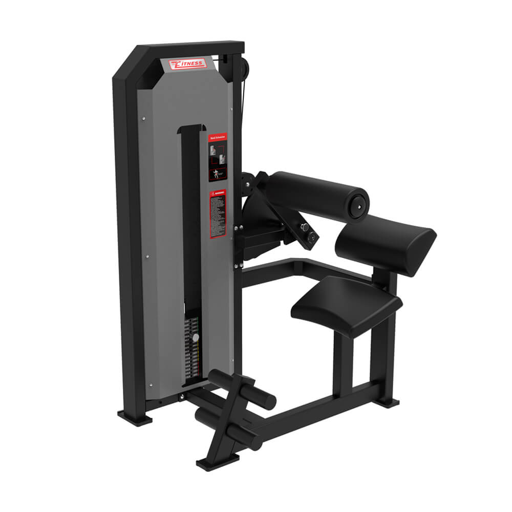 Factory Directly Sell Strength Machine Back Extension
