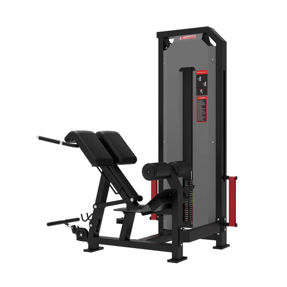 Pin-Loaded Adjustable Back Extension Gym Equipment