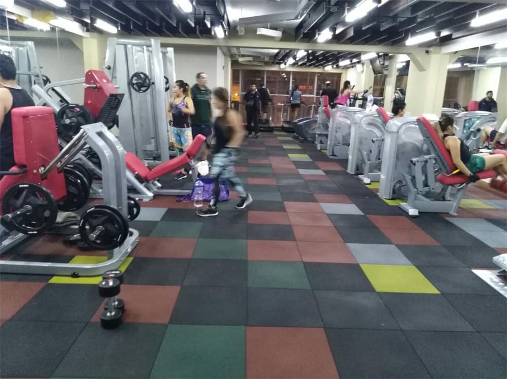 Premium fitness equipment for commercial gyms with cutting-edge technology