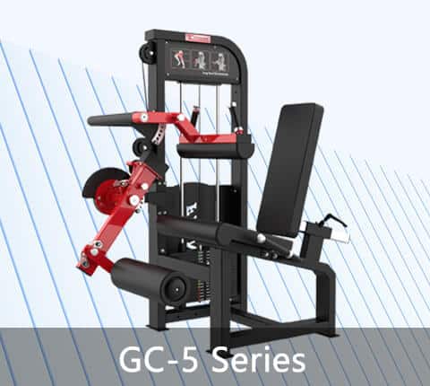 Elevating Workouts with High Performance Machines